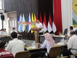 Terjadi Kelangkaan, Menteri Perdagangan RI Siap Pasok Minyak Goreng di Provinsi Lampung