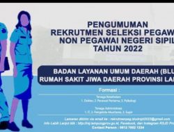 Pemerintah Stop Penerimaan Tenaga Honorer, RSJ Lampung Justru Buka Rekrutmen