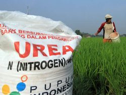 KPPU Lakukan Penelitian Awal Kelakaan Pupuk Bersubsidi di Lampung