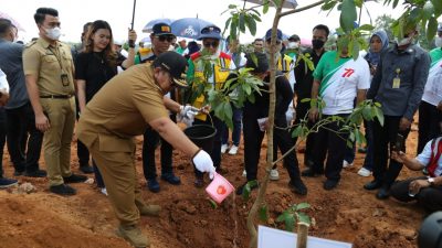 Gubernur Lampung Tanam 1.770 Bibit Pohon di Bendungan Margatiga Lamtim