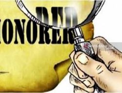 Tenaga Non ASN Batal di Hapus, Pemprov Lampung Sudah Bagikan SK Honorer