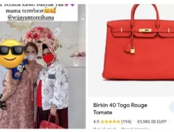 Aksi flexing Kadiskes Lampung Reihana disorot, Netizen : harga second Hermes Birkin-nya saja Rp 200 Juta!