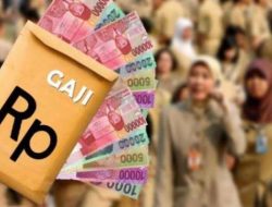 Kabar Gembira, Kenaikan Gaji PNS Akan Diumumkan Presiden Jokowi Pada 16 Agustus 2023