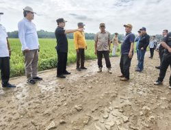 Kondisi Jalan Rusak di Ambarawa dan Banyumas, Pj Bupati Pringsewu Marindo : Kita Cepat Cari Solusi