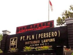 Bikin Kecewa, Pelayanan Gangguan 24 Jam PLN Lamban Merespon
