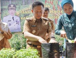 Marindo dan Jajaran Pemkab Pringsewu Adakan Gerakan Serentak Tanam Cabai di Adiluwih