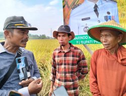 Keren, Putra Daerah Ciptakan Suplemen Pupuk Organik BBM di Pringsewu