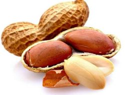 Kacang Lupa Kulitnya di Dunia Politik