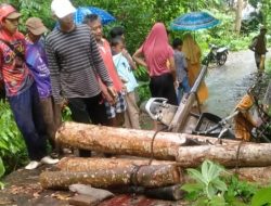 Polsek Limau Identifikasi Kasus Warga Tertimpa Motor Bermuatan Kayu di Kelumbayan