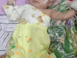 Haura Al-Maira Bayi Mungil asal Tanggamus Berjuang Melawan Jantung Bocor Butuh Uluran Tangan Dermawan