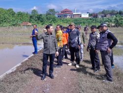 Tinjau Lokasi Terdampak Banjir di Ambarawa, Pj Bupati Pringsewu Serahkan Bantuan