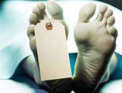 Tragis! Pekerja di Lamteng Tewas Tersedot Mesin, Plh Kadisnaker Lampung Terkesan Acuh