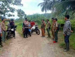 Polsek Semaka Bersama Tim Gabungan Giring Gajah Liar Kembali ke Hutan TNBBS