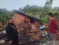 Gajah Liar Rusak 7 Rumah Warga di Lampung Barat, TNBBS Ingatkan Bahaya Pemukiman Ilegal di Jalur Satwa