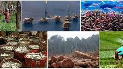 Ternyata Lampung Kaya dengan Sumber Alamnya, Bakal Maju di Masa Mendatang