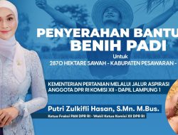Petani Pesawaran Terima Bantuan Benih Padi dari Putri Zulkifli Hasan, 2.800 Hektare Lahan Siap Tanam