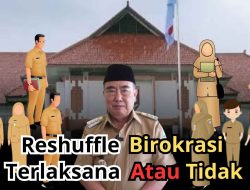 Bupati Tanggamus Diminta Segera Merombak Struktur OPD Untuk Mewujudkan Visi Misi Perubahan Jalan Lurus 