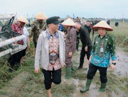 Petani Lampung Tengah Panen Besar, Gubernur Lampung Janji Kawal Harga