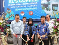 Keren! Kopi Lampung Menembus Pasar Dunia, Ekspor Perdana Kopi Bubuk ke Hong Kong