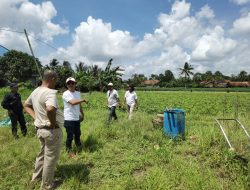 Koperasi IJP Maju Sejahtera Gandeng Kelompok Tani Lampung Timur, Kembangkan Magot Jadi Pupuk Cair dan Komoditas Bernilai Ekonomi