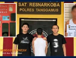 Satres Narkoba Polres Tanggamus Tangkap Bandar Sabu Di Bandar Negeri Semuong, 28 Paket Sabu Disita